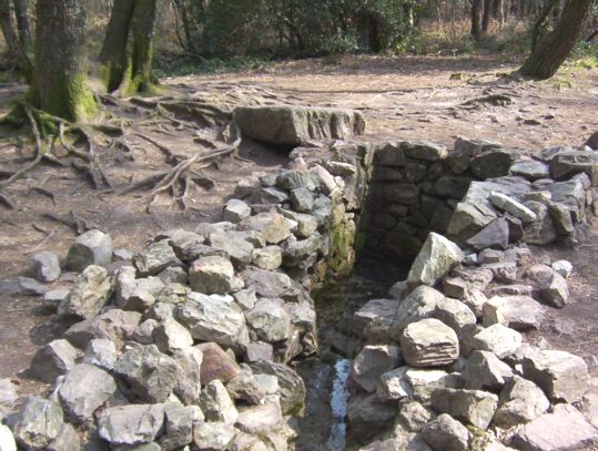 La fontaine de Barenton